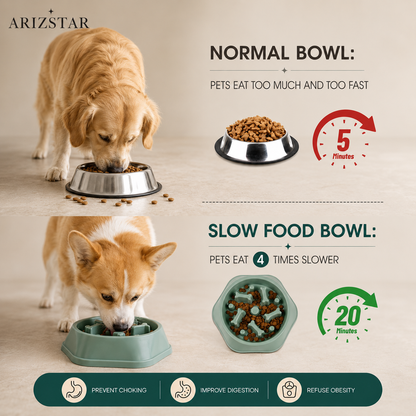 Anti-Choking Slow Feeder Dog Bowl with Non-Slip Base