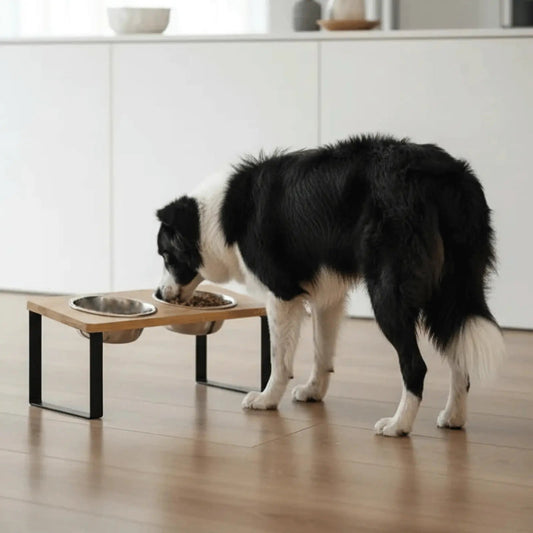 Elevated Dog Bowl Stand with Stainless Steel Bowls | Ergonomic Design for Comfortable Eating 0