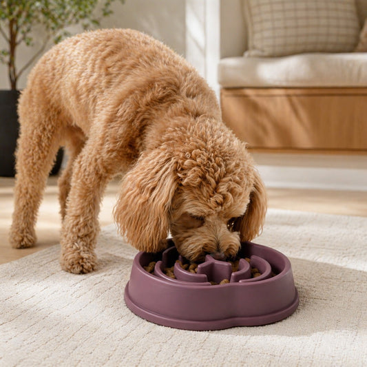 Pet Essentials | Slow Feeder Dog Bowl with Non-Slip Base for Healthy Eating 2